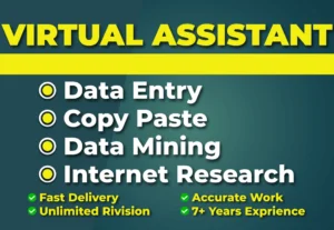 1321I will be your virtual assistant for data entry, data mining, web research, copy