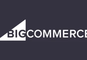 1121I will do bigcommerce theme development and customization