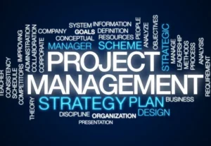 1401I will do all tasks on project management professionally