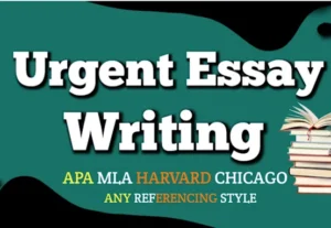 1302I will do urgent essay writing in apa , mla style